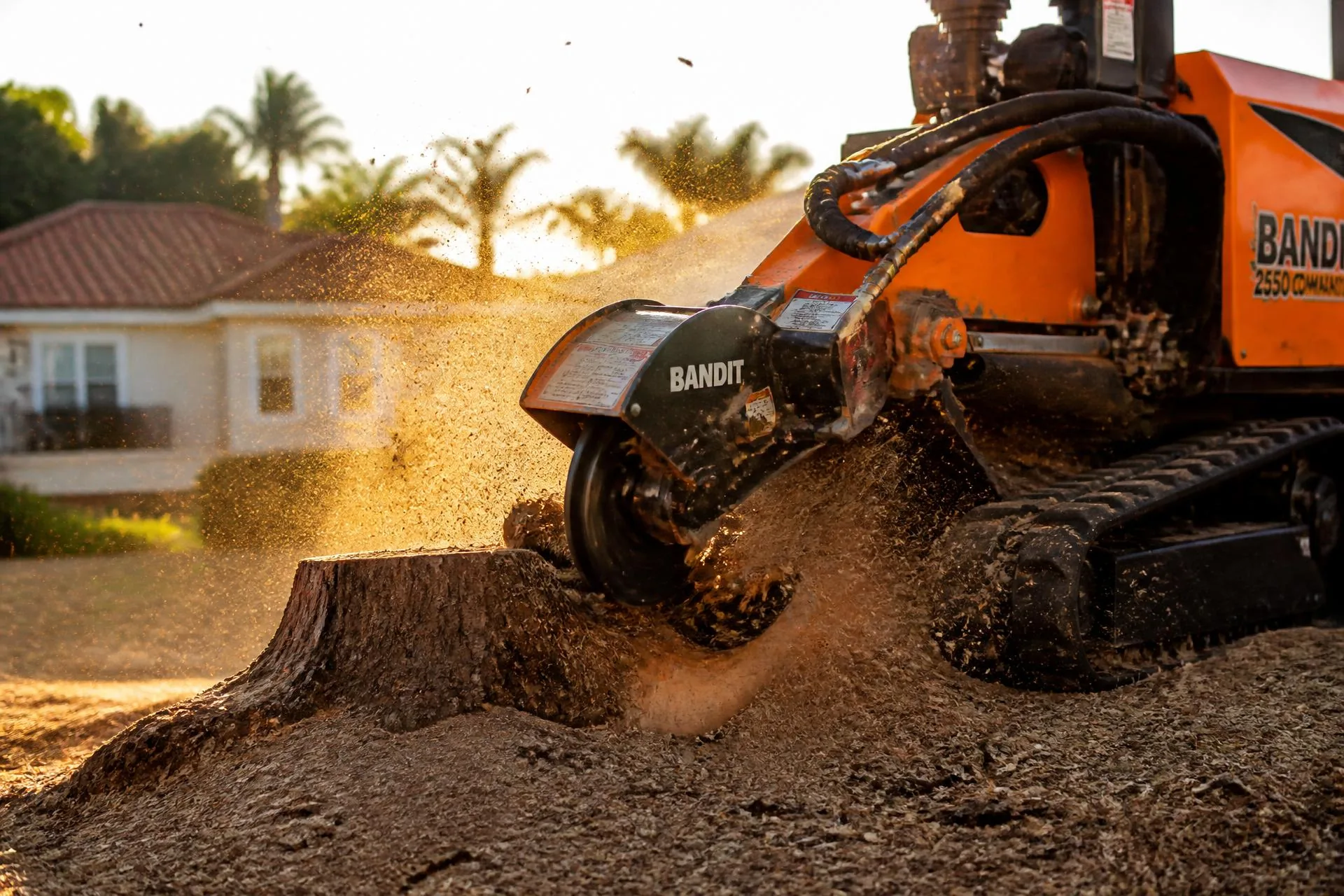 Stump grinder cutting into a large tree stump with wood chips flying